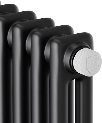Дизайн-радиатор Royal Thermo Insignia VC2180, 6 секций, RAL9005m купить в СОМ