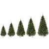 Елка искусственная Императорская 1,8м 736 веток купить в СОМ