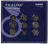 Чайник Vicalina 1,2+2л двойной серебряный VL-AA02G купить в СОМ