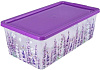 Коробка Lavender 5,5л купить в СОМ