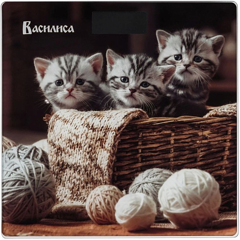 Весы напольные Василиса до 180кг 26х26см ВА-4016 купить в СОМ