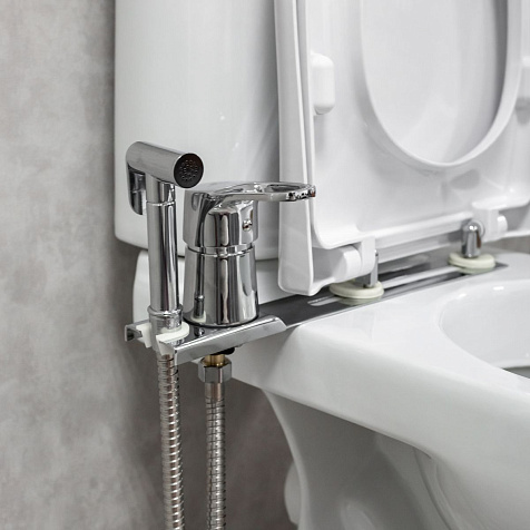 Смеситель для биде Gota Rocio Special G358610, планка на унитаз, хром купить в СОМ