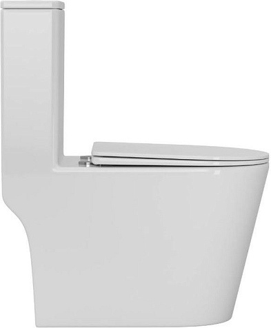 Унитаз монолит Triton-Pro MONO MO-0806, безободковый, торнадо, сиденье дюропласт купить в СОМ
